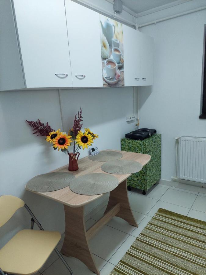 Apartament Octav Deva Ngoại thất bức ảnh